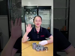 Le carbure de tungstène Puching meurent pour les pièces de poinçon d'outil de moule